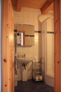 a bathroom with a sink and a shower at An der Metow-Ferienpark Hotel in Plau am See