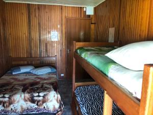 1 dormitorio con 2 literas y un león en Magia do Mar Hostel, en Florianópolis