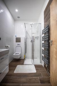 uma casa de banho com um chuveiro e um WC. em Apartmány pod Jeřábem, Šanov 67, Červená Voda em Cervena Voda