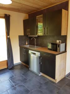eine Küche mit einer Spüle und einer Mikrowelle in der Unterkunft maison indépendante in Saint-Amand-en-Puisaye