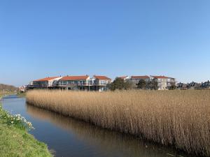 a river with tall grass and houses in the background at Strandappartement Duynblick in Julianadorp