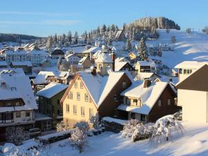 eine kleine Stadt voller Schnee mit Häusern in der Unterkunft Pension Florianhof in Schonach