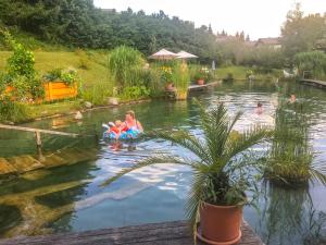 Eine Frau und ein Kind schwimmen in einem Teich in der Unterkunft Apartmenthaus Rapplhof in Haus im Ennstal