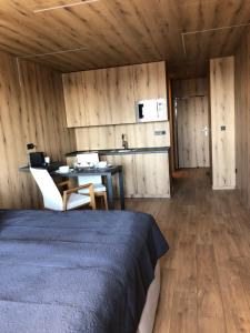 Kuchyň nebo kuchyňský kout v ubytování Studio Ostrava - Maroldova