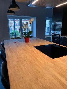 Kuchyň nebo kuchyňský kout v ubytování Froissart Loft et Studio