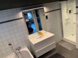 Koupelna v ubytování Froissart Loft et Studio