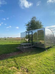 een glazen huis op het gras in een veld bij Eeuwenhout vakantiedomein in Dranouter