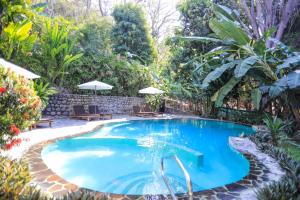 Hồ bơi trong/gần Manala Hotel