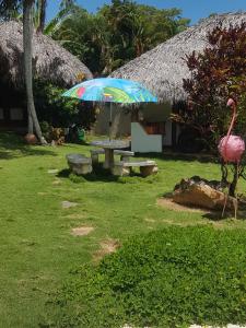 Zahrada ubytování Casa Flamingo