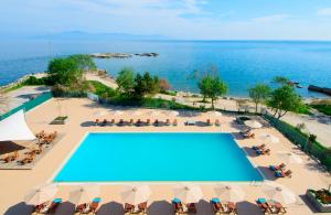 Kolam renang di atau dekat dengan Lucy Hotel