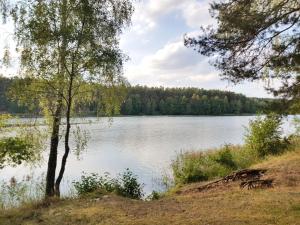 Príroda v okolí dovolenkového domu