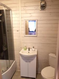 a bathroom with a sink and a toilet and a mirror at Mazurska Sielanka na Wiartlu in Pisz