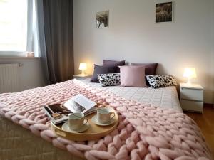 Кровать или кровати в номере Apartament Niecała Queens Superior