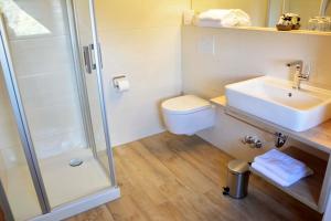 Hotel Restaurant "Zur Post" في Holdorf: حمام مع دش ومغسلة ومرحاض
