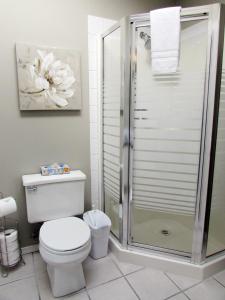 a bathroom with a toilet and a shower at Paradise Canyon Golf Resort, Signature Condo 380 in Lethbridge