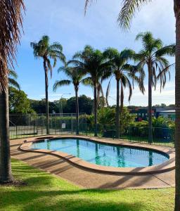 a swimming pool in a park with palm trees at Shellharbour Resort and Conference Centre in Shellharbour