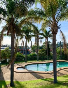 a swimming pool with palm trees in a park at Shellharbour Resort and Conference Centre in Shellharbour