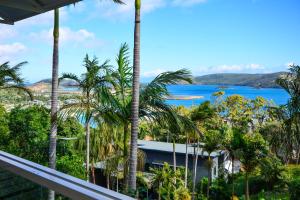 a view from the balcony of a resort with palm trees at Oasis Apartments on Hamilton Island by HIHA in Hamilton Island