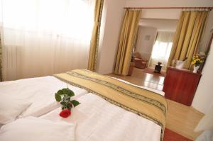 Fotografie z fotogalerie ubytování Dali Hotel v destinaci Constanţa