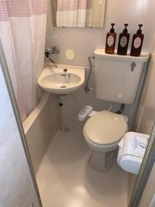 a small bathroom with a toilet and a sink at Matsudo Grand Hotel in Matsudo