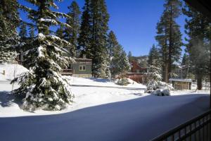 a snow covered yard with trees and a house at Mountainback 062 in Mammoth Lakes