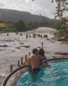 Gallery image of Hotel Elephant Bay in Pinnawala