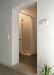 ein Bad mit einem Spiegel und einer Dusche in der Unterkunft HÜBSCHES APARTMENT im Herzen von Linz in Linz