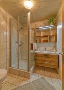 a bathroom with a shower and a sink at Ferienwohnungen Weghofer F**** (Viechtach) in Viechtach
