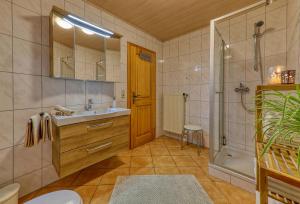 a bathroom with a sink and a shower and a toilet at Ferienwohnungen Weghofer F**** (Viechtach) in Viechtach