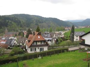 a small town with houses and a green field at Blockhaus-Ferienwohnung in Oppenau