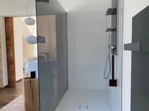 a glass shower in a bathroom with a sink at Luxus-Ferienwohnung Saalhausen in Saalhausen