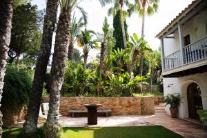 a courtyard with palm trees and a building at Cas Gasi in Santa Gertrudis de Fruitera
