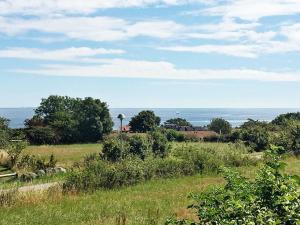 アリンエにある6 person holiday home in Allingeの海を背景にした草原