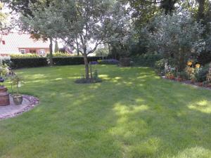 a lawn with a tree in the middle of a yard at Ferienwohnung Meyer, 35176 in Schwerinsdorf