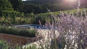 Bazén v ubytovaní cottage with private swimming pool alebo v jeho blízkosti