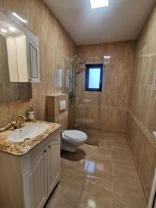 クルジュ・ナポカにあるPensiunea Gabyのバスルーム(洗面台、トイレ付)