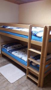 a bunk bed room with two bunk beds at Ferienwohnung Schlothauer 2 in Ruhla