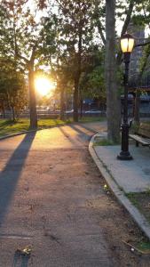 una luz de la calle junto a un parque con árboles en East Village Homestay en Nueva York