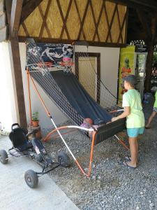 a woman standing next to a cart with a net at Pensiunea Socrita in Corbu