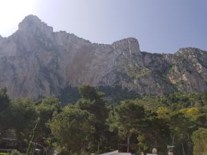 a mountain in the distance with trees in front of it at Mondello Suites Feels Like Home in Mondello