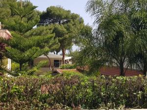 a house with trees and plants in a yard at Mondello Suites Feels Like Home in Mondello