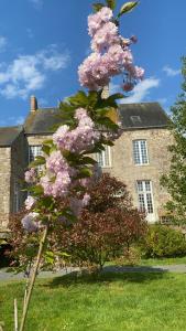 einen Baum mit rosa Blumen vor einem Gebäude in der Unterkunft Le Chateau de Claids in Saint-Patrice-de-Claids