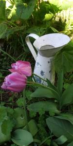 eine weiße Vase neben einer rosa Blume in der Unterkunft Le Dôme Aux Oiseaux in Bérig-Vintrange