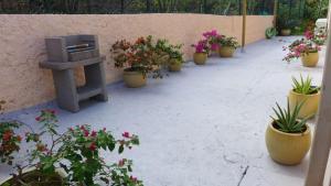 حديقة خارج Rose phoenix appartement terrasse et piscine vue mer