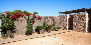 A garden outside Casa Piedra