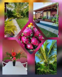 a collage of photos with a bunch of flowers at Les cottages de roseau in Capesterre-Belle-Eau