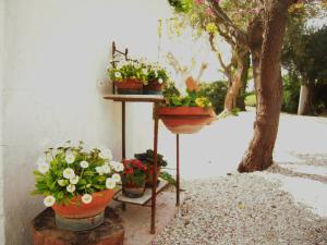 A garden outside Agriturismo Ponterosa