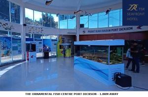 Afbeelding uit fotogalerij van TSR Seafront Hotel in Port Dickson