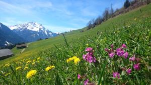 a field of flowers with a mountain in the background at Haus Binder in Ried im Zillertal