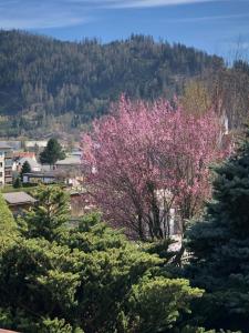 Gallery image of Frühstückspension Eichberger in Pöls